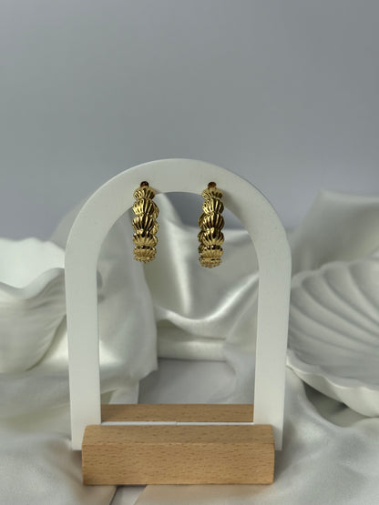 Shell Hoops