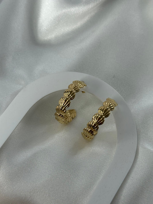 Shell Hoops
