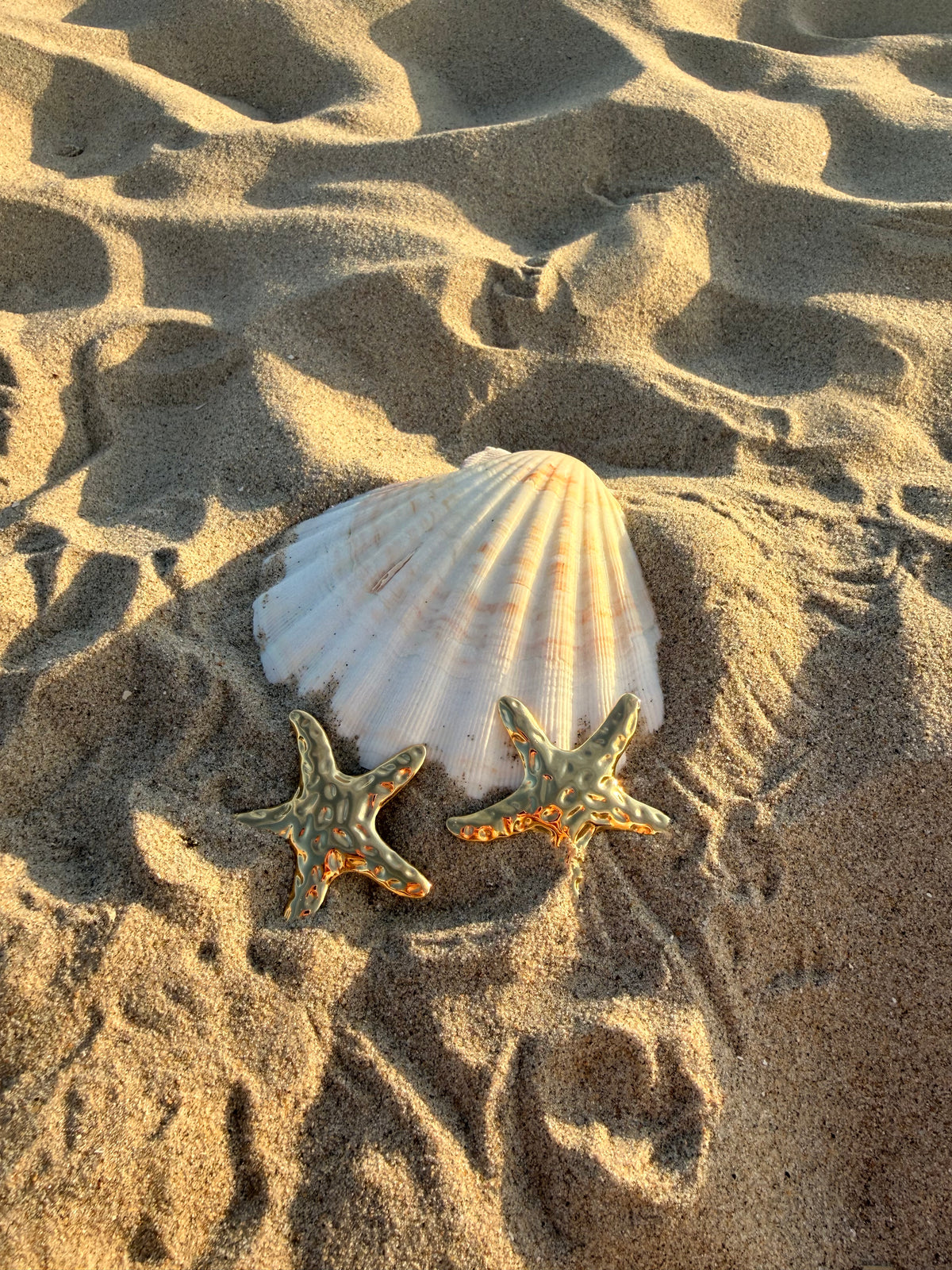 Big Sea Star Ohrringe⭐️