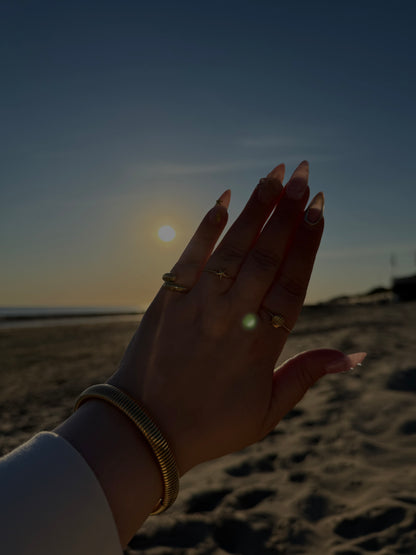 Little Shell Ring